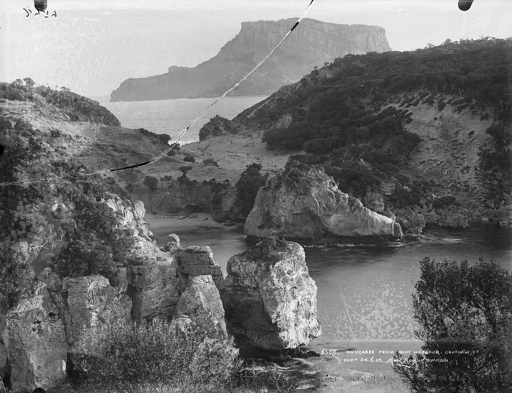 Mungaree from Boat Harbour, Chatham Islands (circa 1888) by William Dougall and Muir and Moodie.