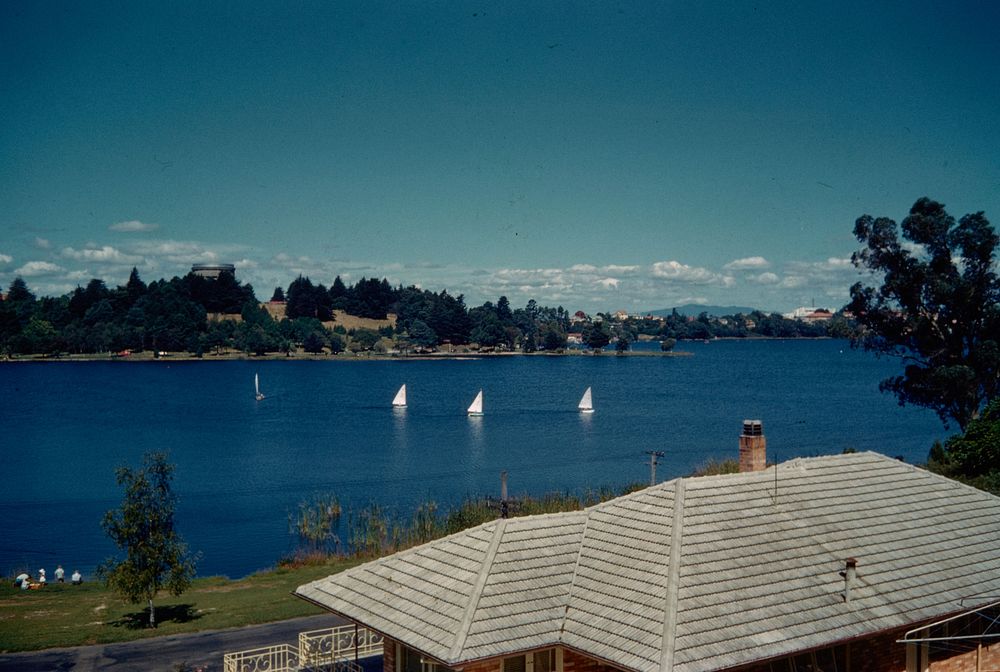 Panorama of Lake Hamilton from the home of Wally Neill (07 February 1960) by Leslie Adkin.