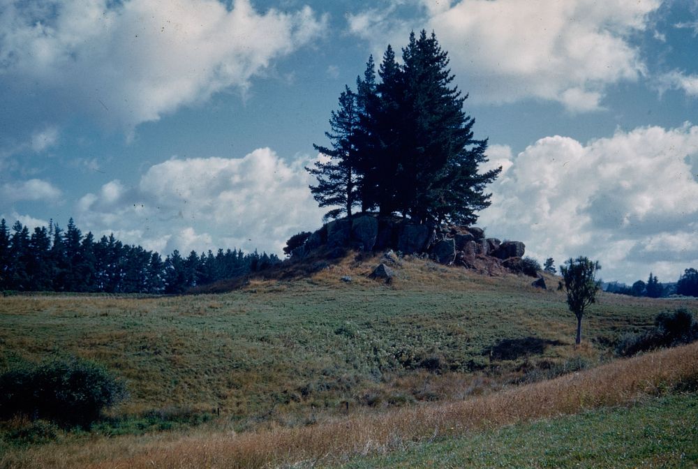 Beautiful example of an ignimbrite butte - or residual knob - on north side of Te Awamutu-Putaruru Road (08 February 1960)…