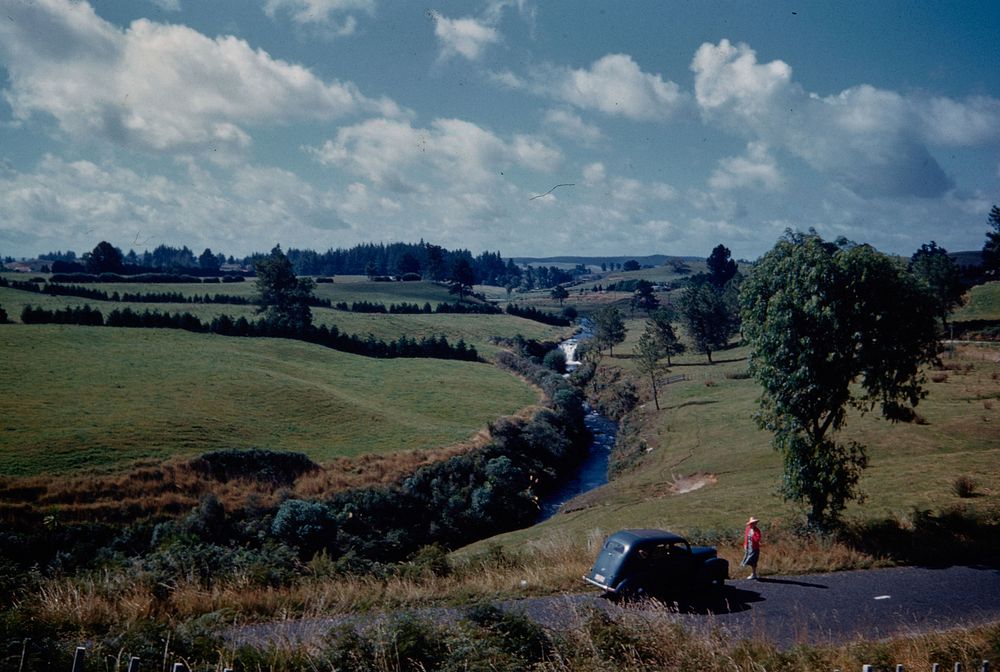 The Pokaiwhenua stream where it crosses the Arapuni-Putaruru road showing falls .... (08 February 1960) by Leslie Adkin.