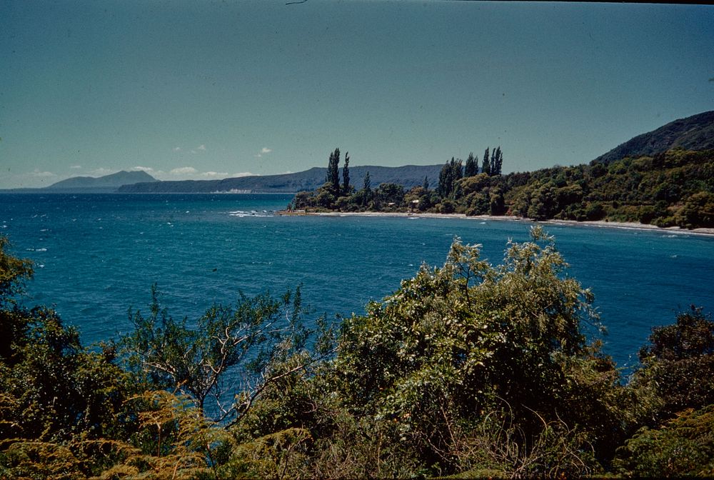Jellicoe Point from the south, Tauhara volcanic cone in extreme distance on left (08 February 1960) by Leslie Adkin.
