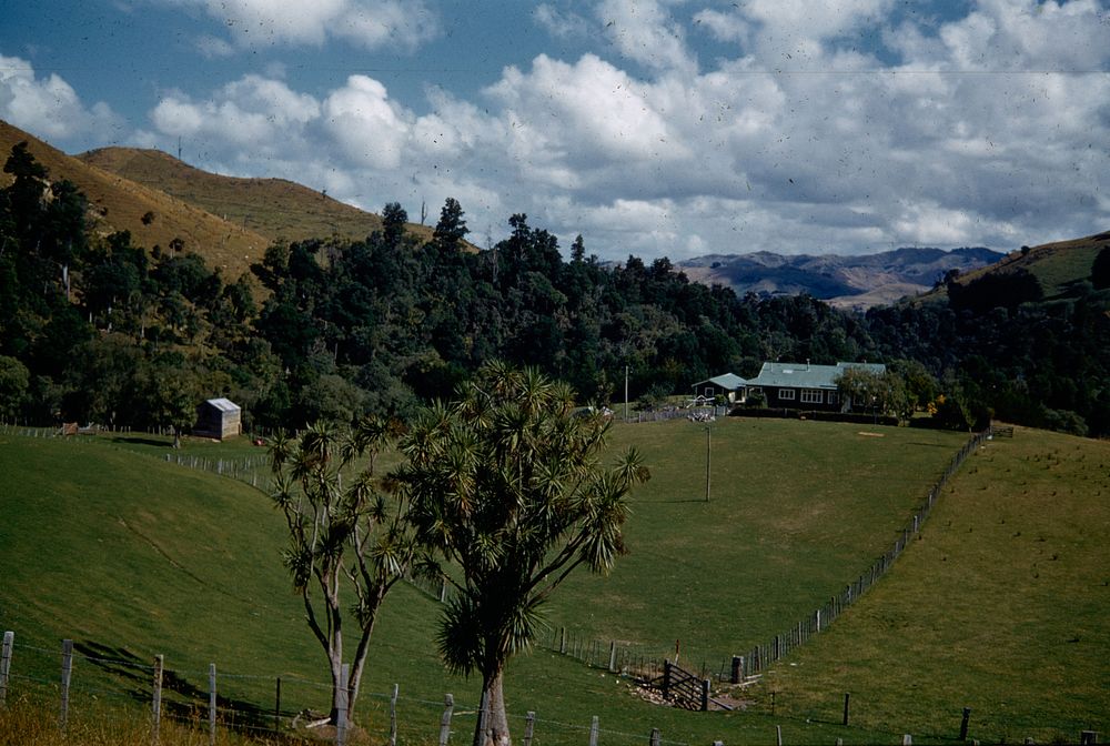 A picturesque farm homestead about 2 miles north of Taihape (08 February 1960) by Leslie Adkin.