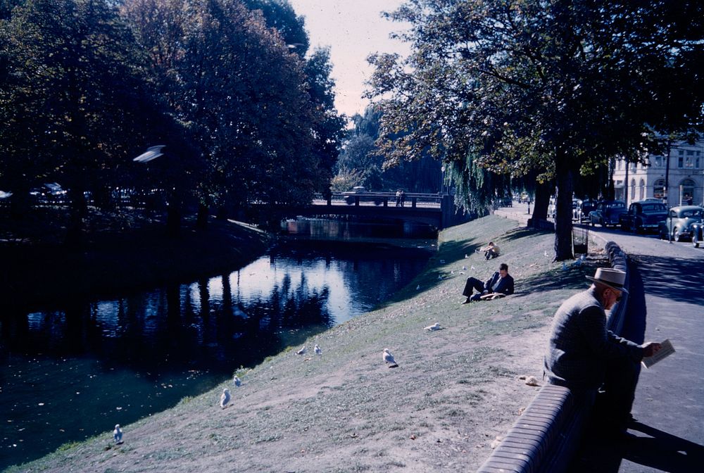 The Avon, Christchurch (24 March 1959-13 April1959) by Leslie Adkin.