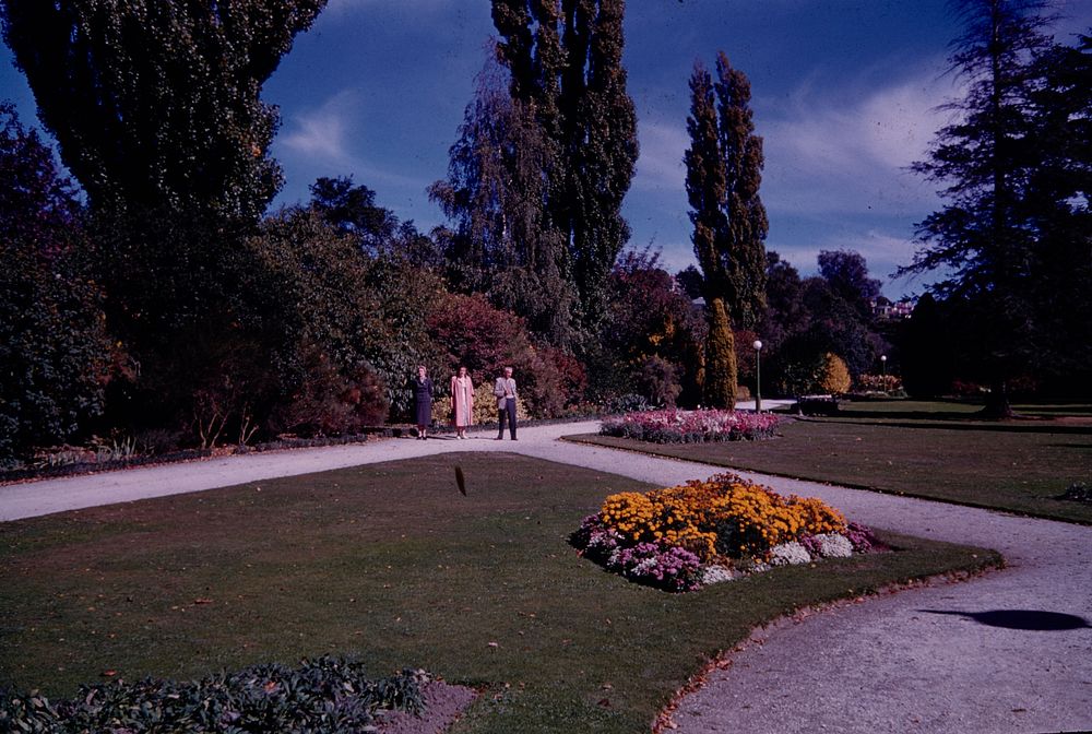 Botanical Gardens, Oamaru (24 March 1959-13 April1959) by Leslie Adkin.