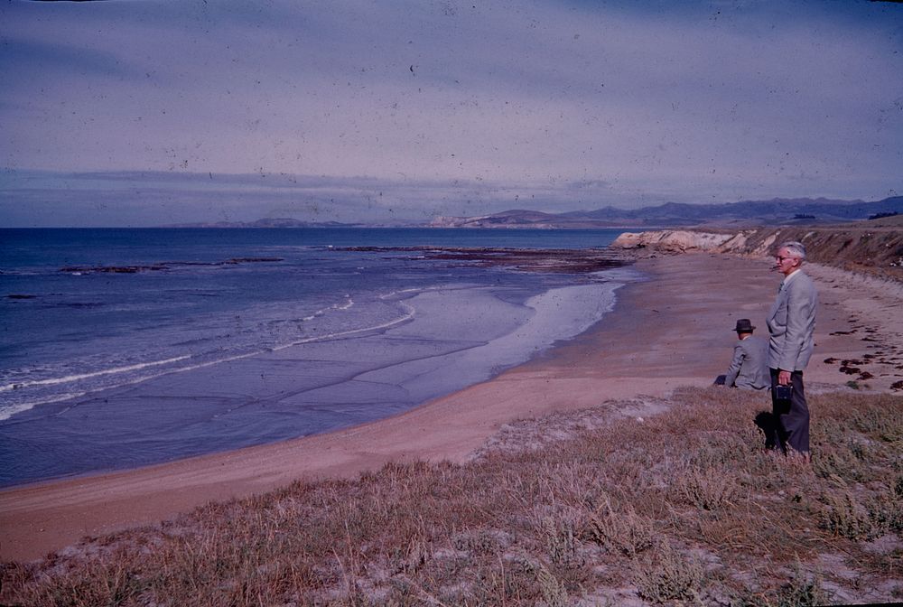 Campbell's Beach and All Day Bay - view southward to Aorere Head (24 March 1959-13 April 1959) by Leslie Adkin.