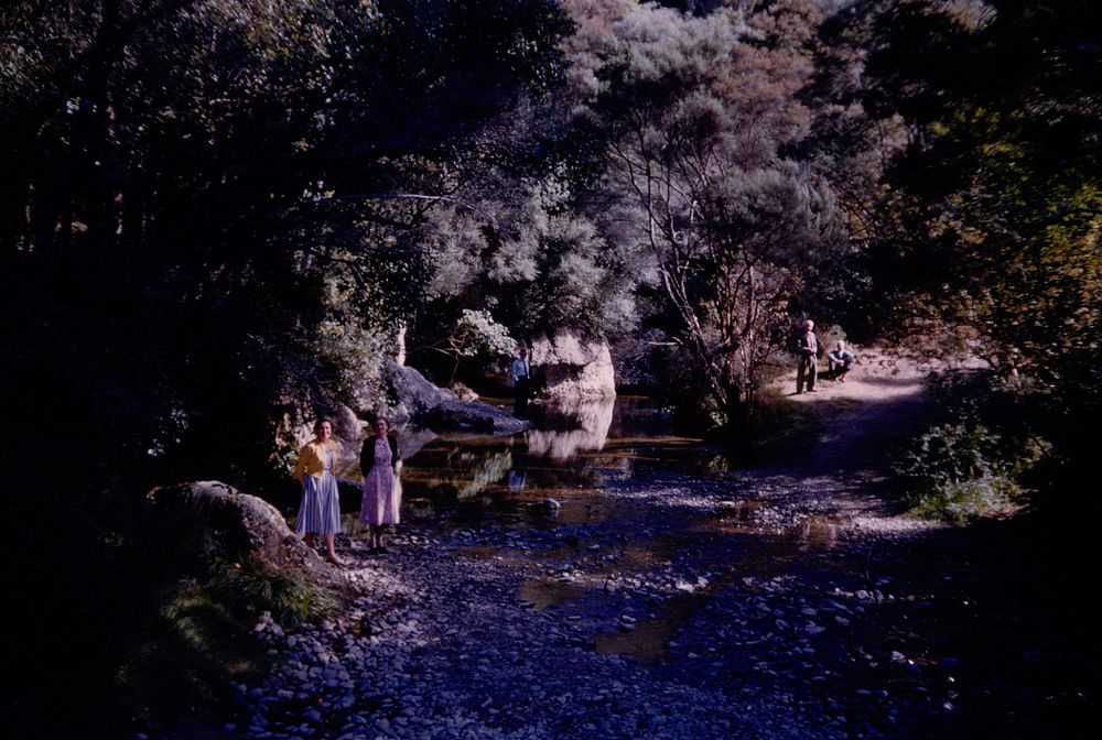 At Trotter's Gorge Domain, stream forks at top end of picnic glade (24 March 1959-13 April1959) by Leslie Adkin.