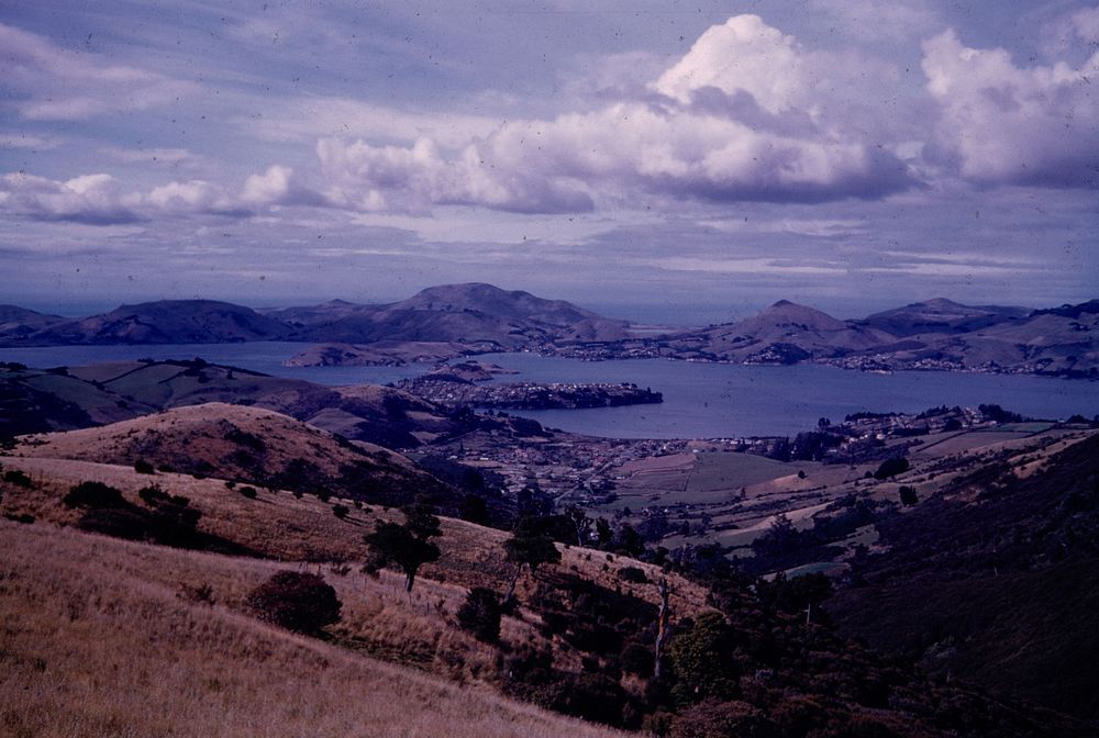 Part of Otago Harbour from Mt. Cargill Road (from c. 3/4 mile north of the saddle) .... (24 March 1959-13 April1959) by…