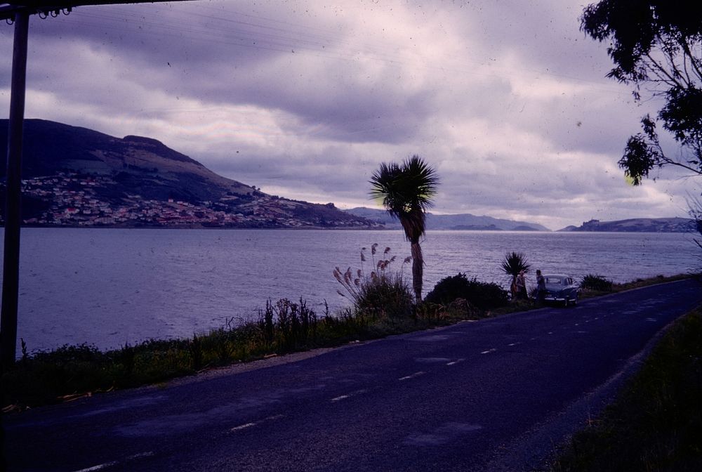 Otago Harbour from Peninsula Road at salient of coast north of Anderson Bay (24 March 1959-13 April1959) by Leslie Adkin.