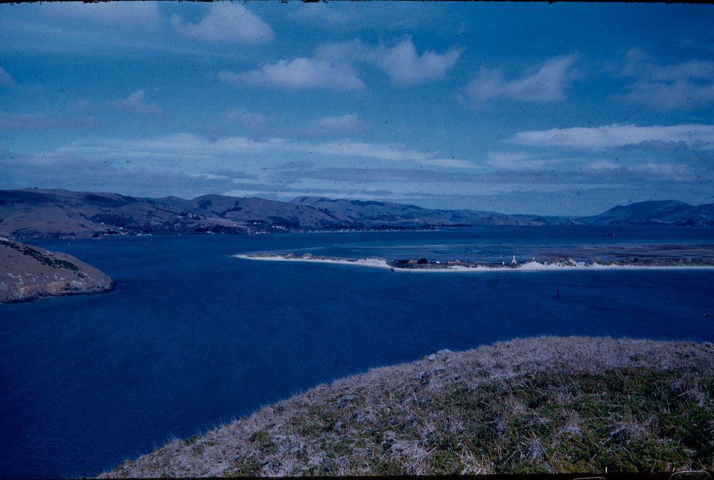 Otago Harbour from Taiaroa lighthouse, view up the harbour (02 April 1959) by Leslie Adkin.