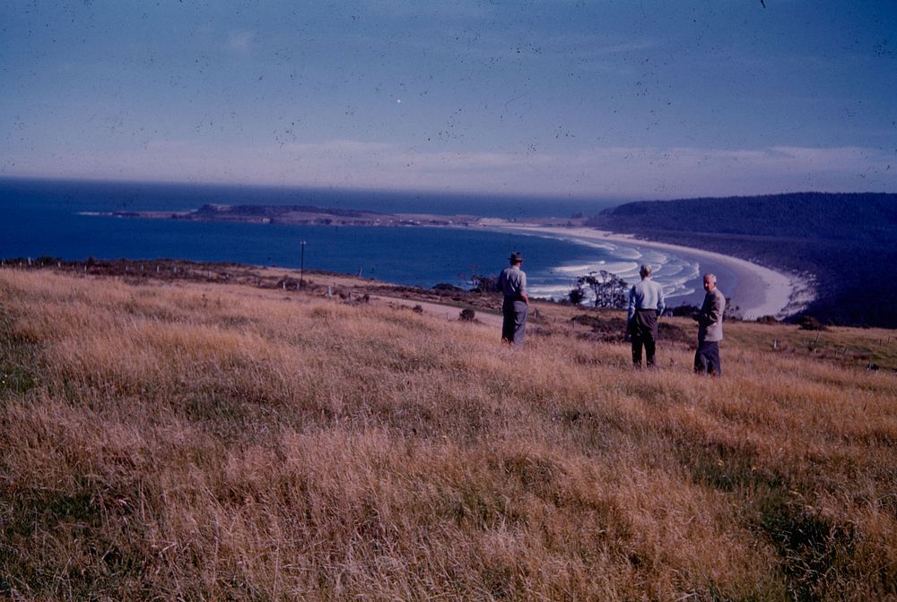 Southernmost New Zealand, Tautuku Bay and Peninsula from road across shoulder of Florence Hill (24 March 1959-13 April 1959)…