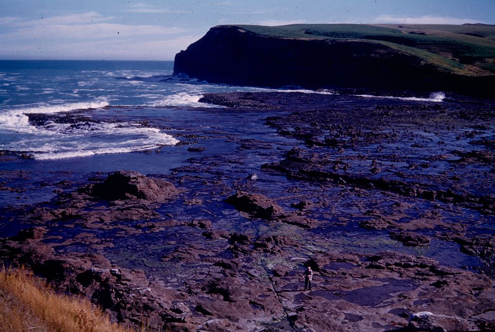 Curio Bay near Waikawa Harbour, Southland .... (24 March 1959-13 April 1959) by Leslie Adkin.