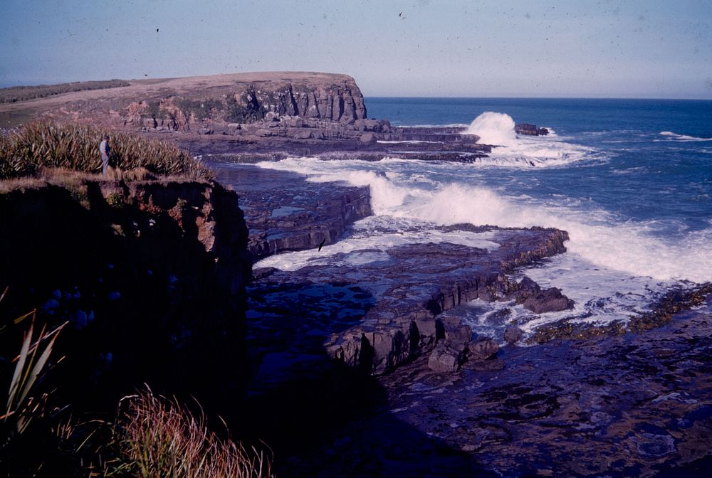 Curio Bay, north head from middle of the embayment (24 March 1959-13 April1959) by Leslie Adkin.