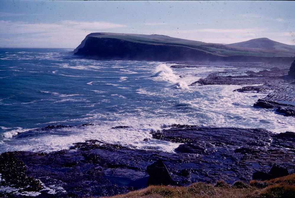 Curio Bay, from north head to south head - the finest scenery of tour (24 March 1959-13 April 1959) by Leslie Adkin.