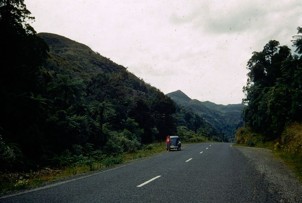 On the road up Awakino valley, c. 5 miles above Awakino village (02 February 1960) by Leslie Adkin.