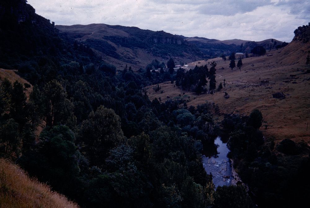 The Maiotaki River in its valley - above the limestone gorge (02 February 1960) by Leslie Adkin.