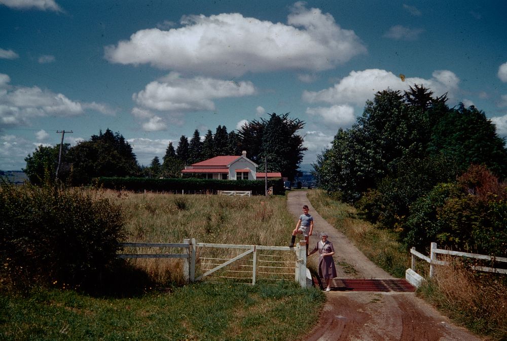 Clyde's farm Te Awamutu Free Photo rawpixel
