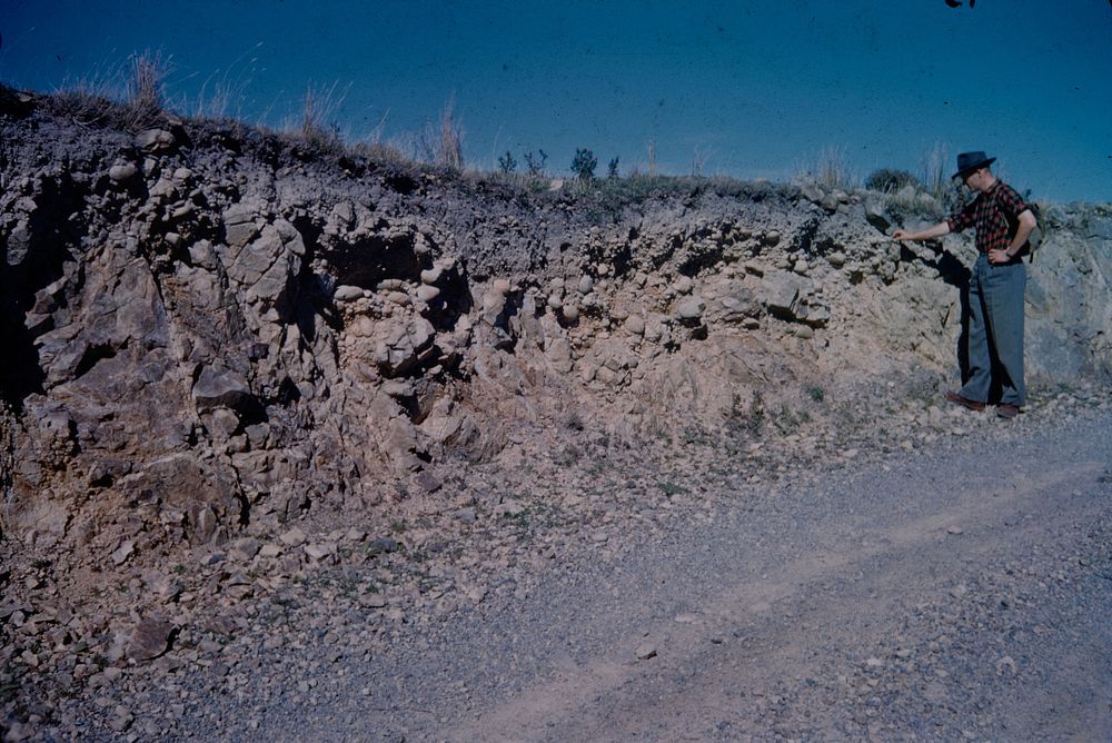 Road cutting exposure on Baring Head Lighthouse Road ... (20 March 1960) by Leslie Adkin.