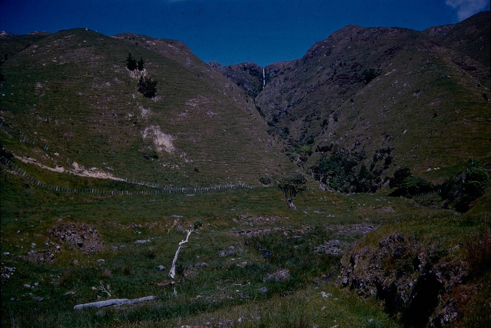 Mangaharakeke Fall, 300 feet, and gully carved in western face of Poruriri Ridge ... (22 November 1960) by Leslie Adkin.