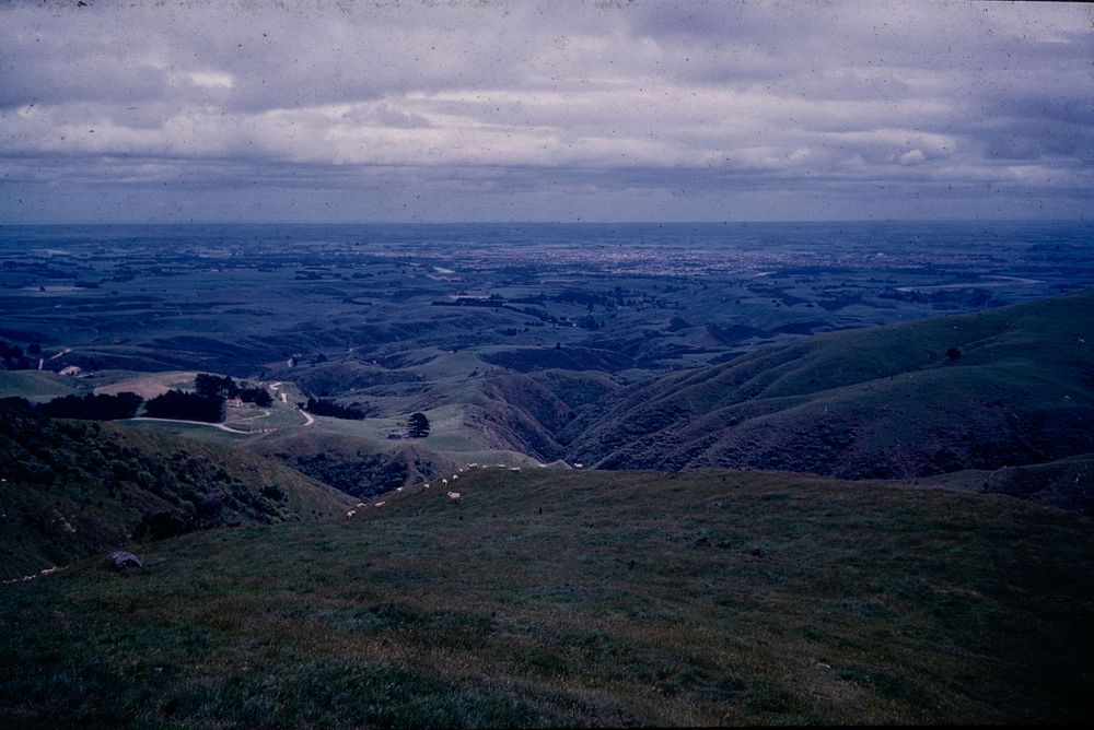 View down main course of Te Taupiri-maewa stream (incised in Otaki formation plateau) ... (23 November 1960) by Leslie Adkin.