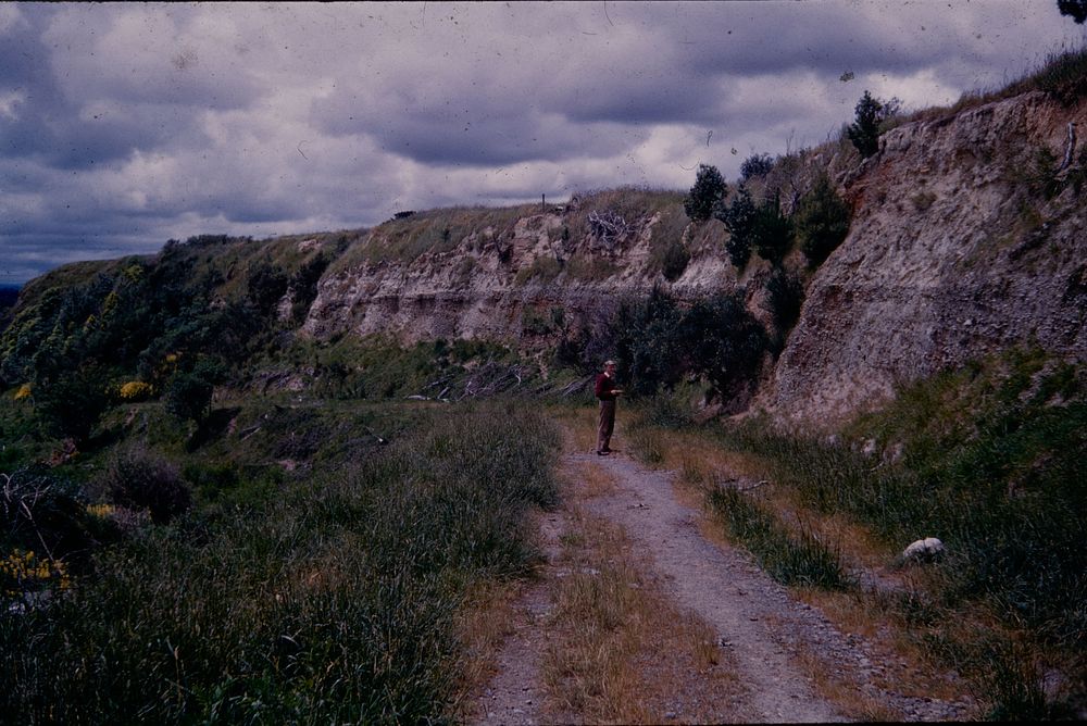 Extensive section of Manawatu fan gravels (Ohau formation) on left bank of river below Fitzherbert Road East .... (24…