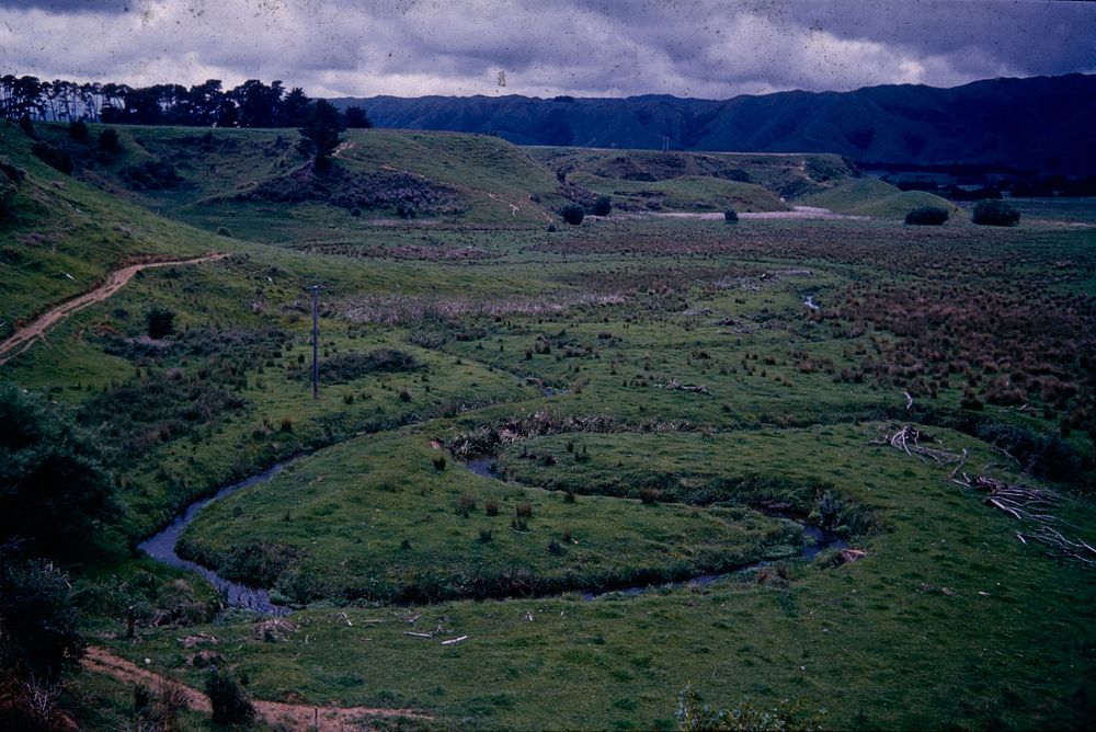 Southern escarpment of the Ihakara Reserve, Otaki formation plateau ... (24 November 1960) by Leslie Adkin.