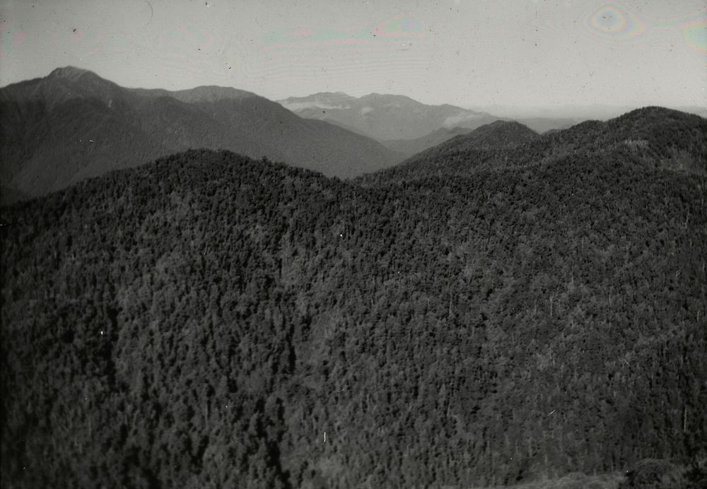 Oriwa Lake-hollow, view south from south slope of Mt waiopehu .... (03 June 1928) by Leslie Adkin.
