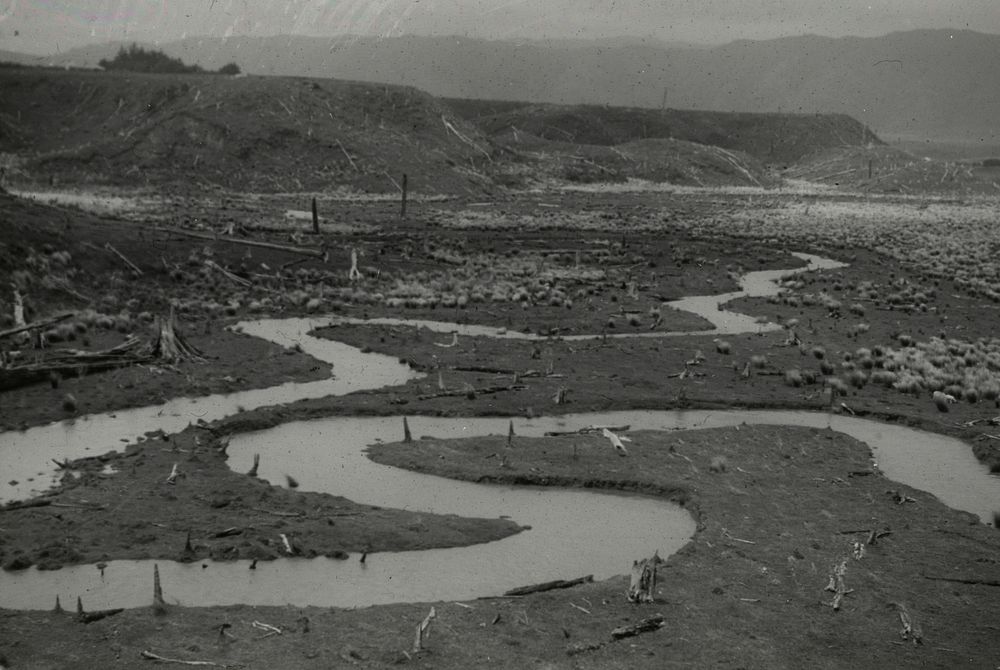 Meandering course of Waoku stream, made conspicuous by slight flood ... (circa 1960) by Leslie Adkin.