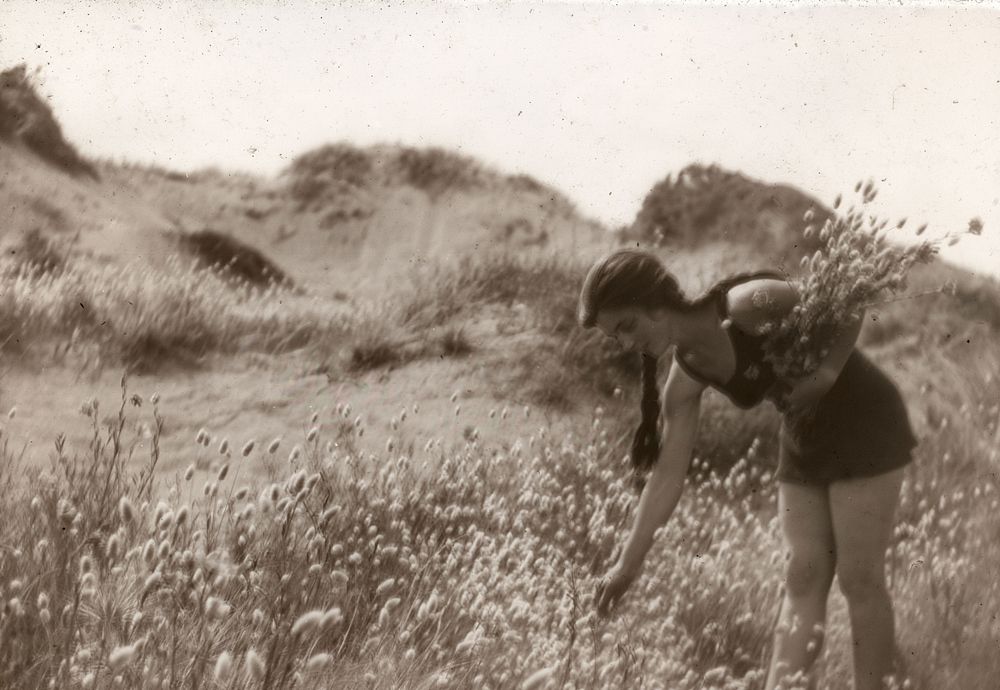 Maud Conibean gathering bean grass at Otaki beach (22 January 1928) by Leslie Adkin.
