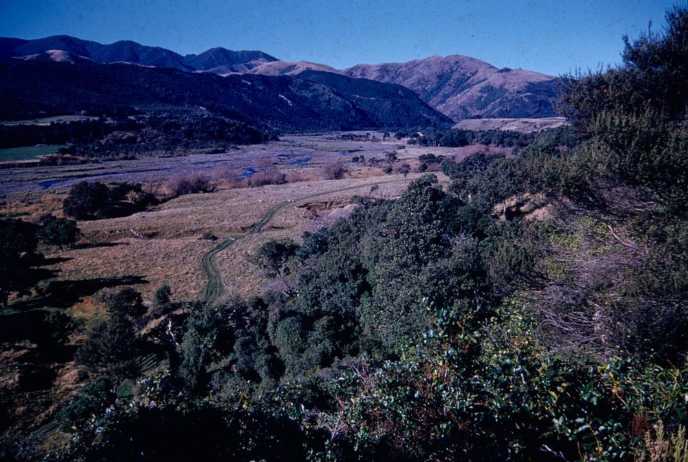 Valley of Tauanui River and part of the Aorangi Mountains ... (28 May 1961) by Leslie Adkin.