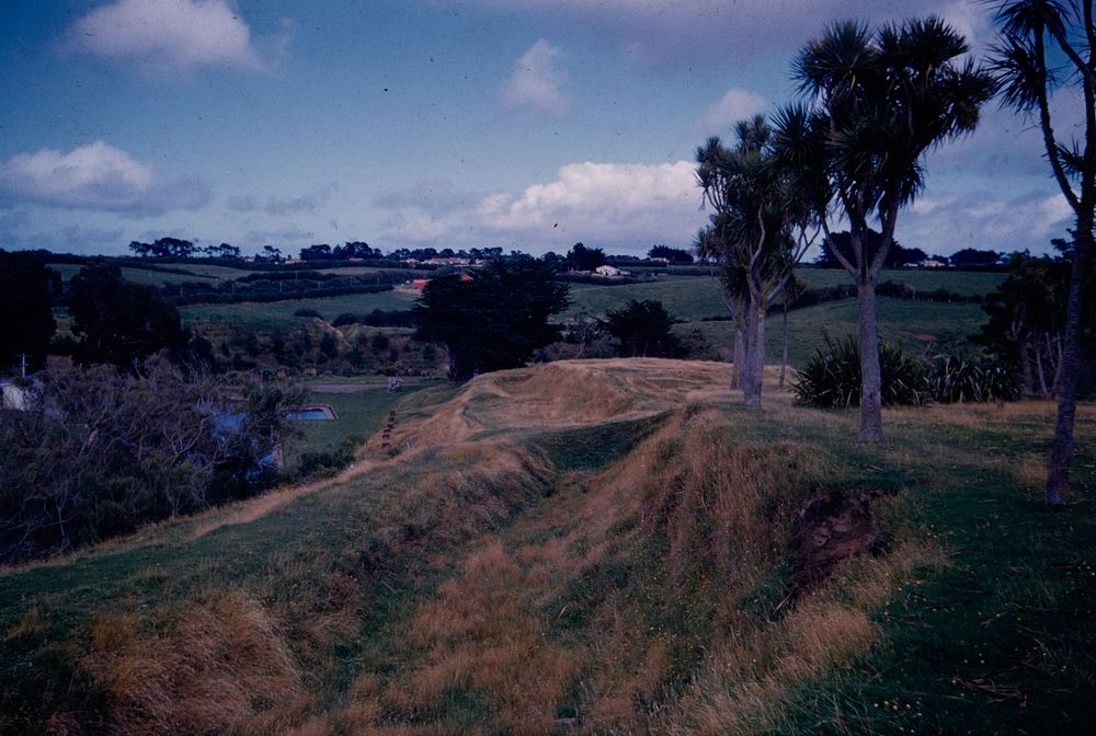 Turuturu-mokai, ditch and rampart structure at the SE corner of the highest part of the main pa (18 February 1961-19…