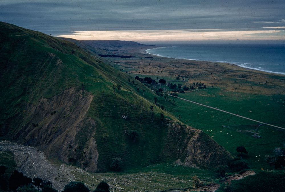 View up coast to Flat Point from Pukehuiake pa-citadel, .... (15 May 1960) by Leslie Adkin.