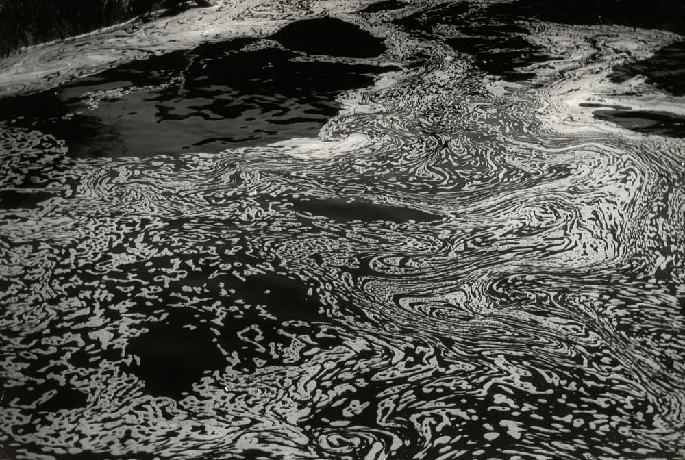 Decorative Nature : foam pattern on backwater pool ... (07 May 1927) by Leslie Adkin.