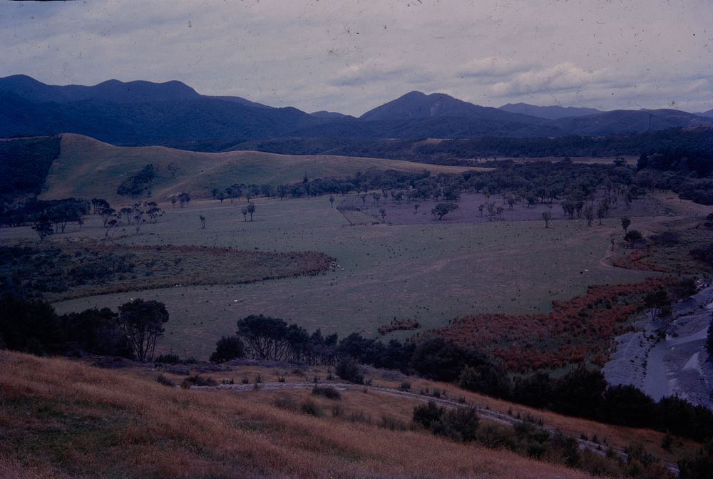 Southern Wairarapa Valley, Western Lake Road and Battery stream ... (21 January 1963) by Leslie Adkin.