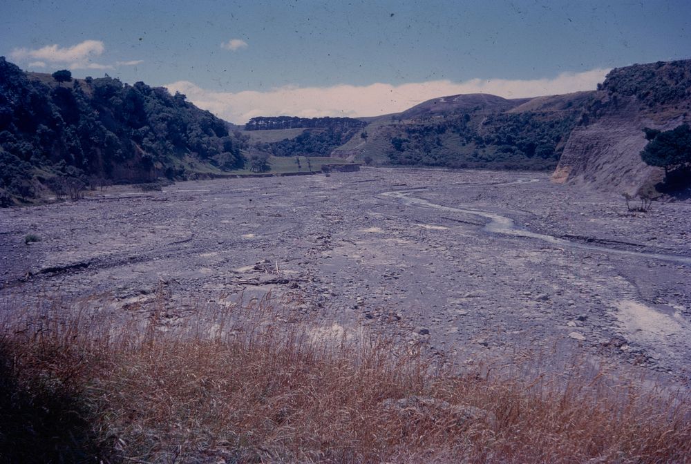 Looking up the Wharekauhau riverbed .... (21 January 1963) by Leslie Adkin.