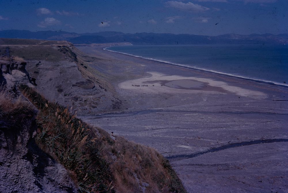 North-western shores of Palliser Bay from junction of river and seacliffs on right bank of Wharekauhau River above its mouth…