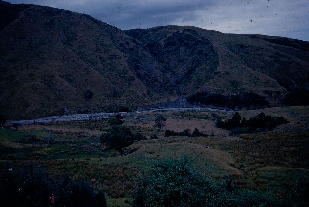 The Blue Slip (on ancient crush zone) on left bank of Waikawa River, Horowhenua .... (05 January 1961) by Leslie Adkin.