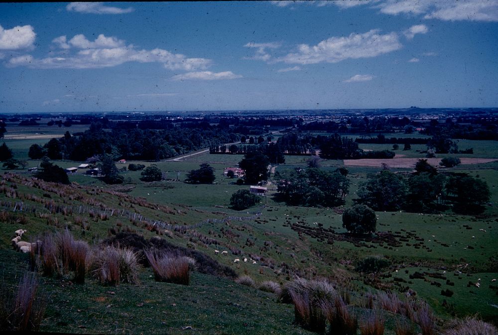 Queen Street East, Levin with town in far middle distance ... (22 November 1960) by Leslie Adkin.