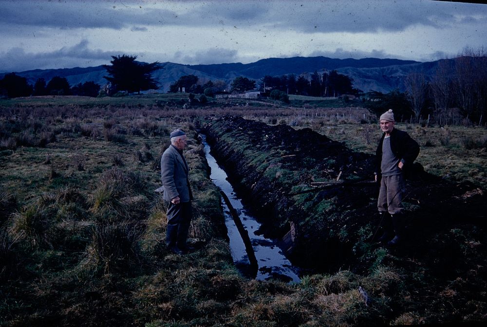 Moa bone site, Autaha swamp, Manakau ... (14 June 1961) by Leslie Adkin.