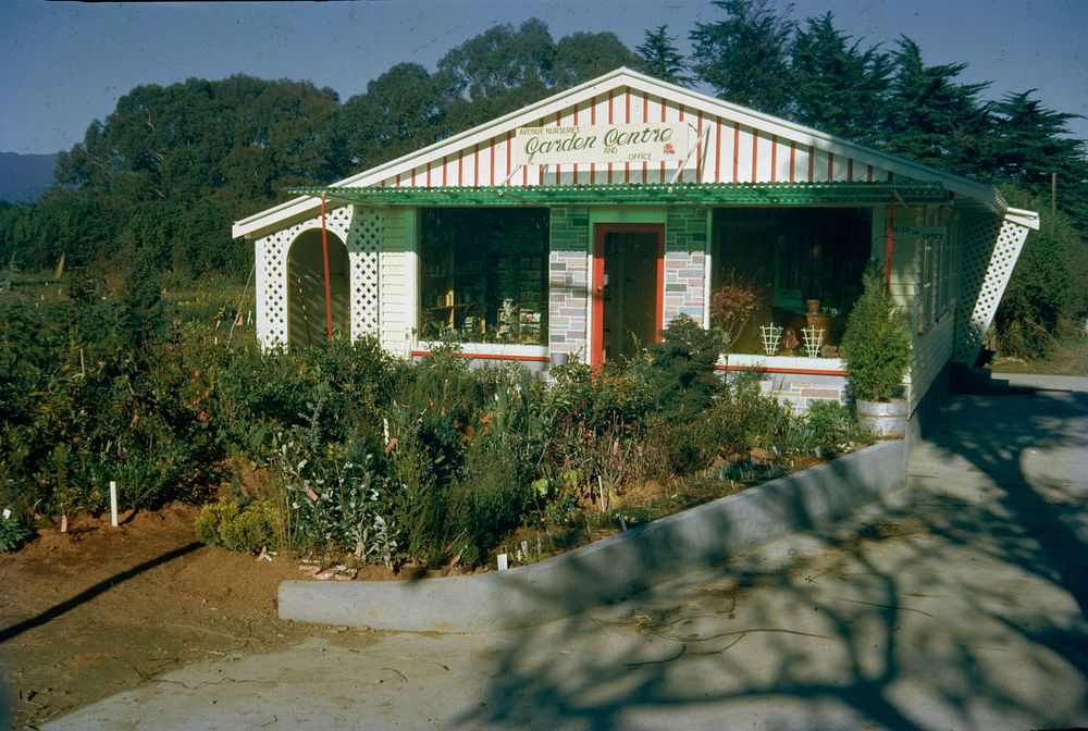Phil Gardner's Nursery Centre - offices and sales depot at the Avenue Nurseries, Levin (10 June 1962) by Leslie Adkin.