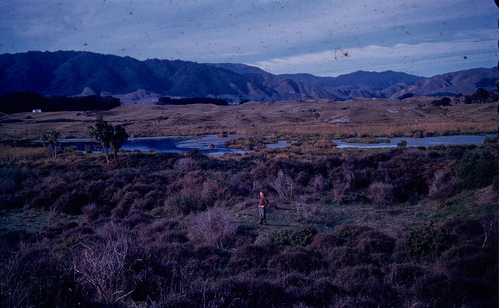 Maori Geographic and Cultural features of dune belt north of the Waikanae River (28 May 1960) by Leslie Adkin.