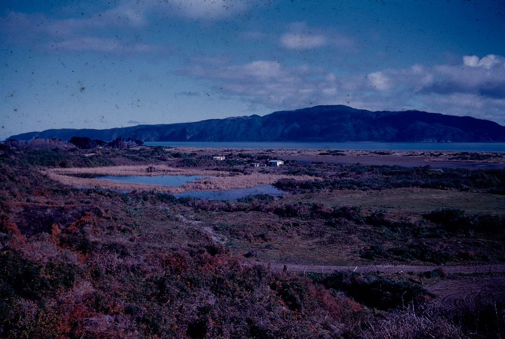 Panorama of mouth of Waikanae River, Kapiti Island .... (13 August 1960) by Leslie Adkin.