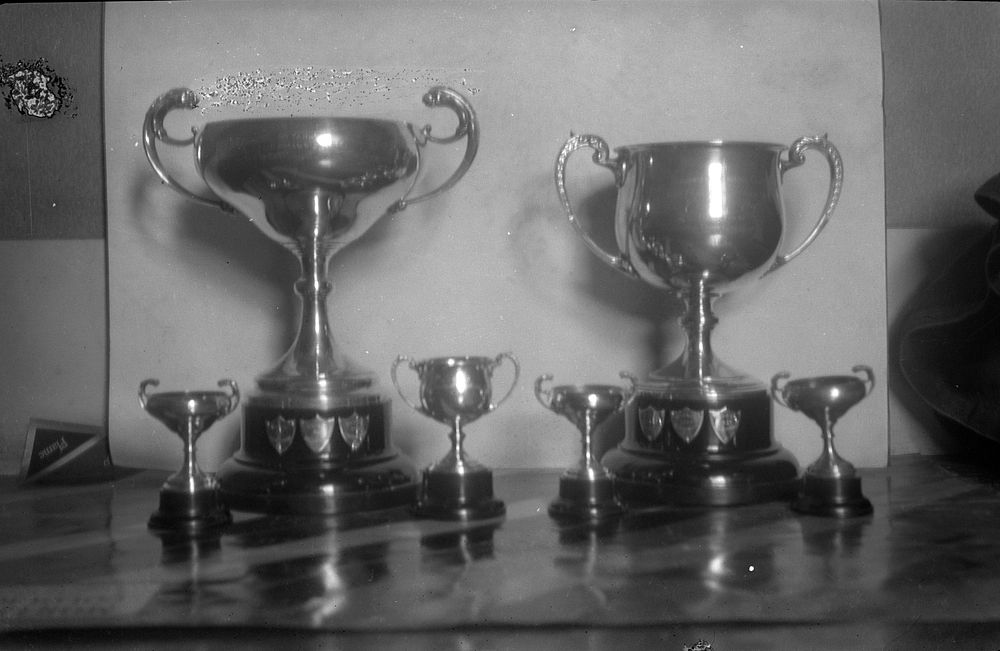 Boxing Trophies by Eric Lee Johnson.