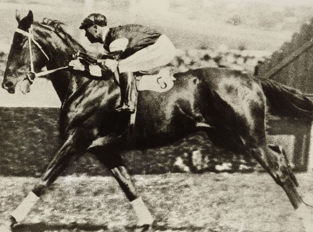 Phar Lap, galloping (1920s).