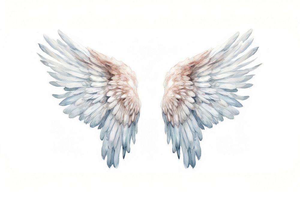 Wings flying angel white. AI generated Image by rawpixel.