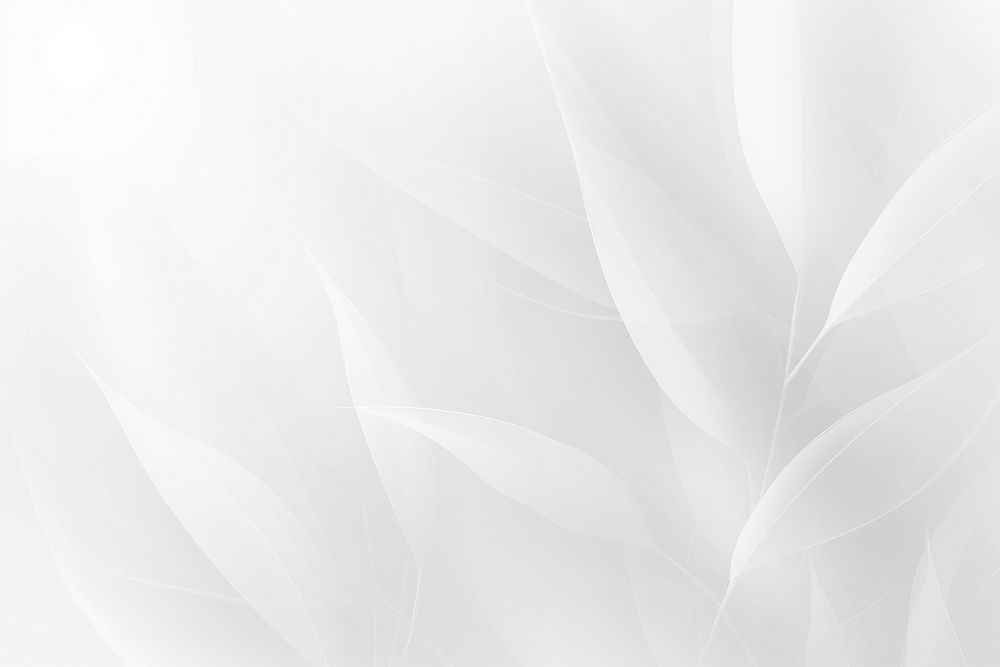 Blur foliage shadow background white backgrounds abstract. AI generated Image by rawpixel.