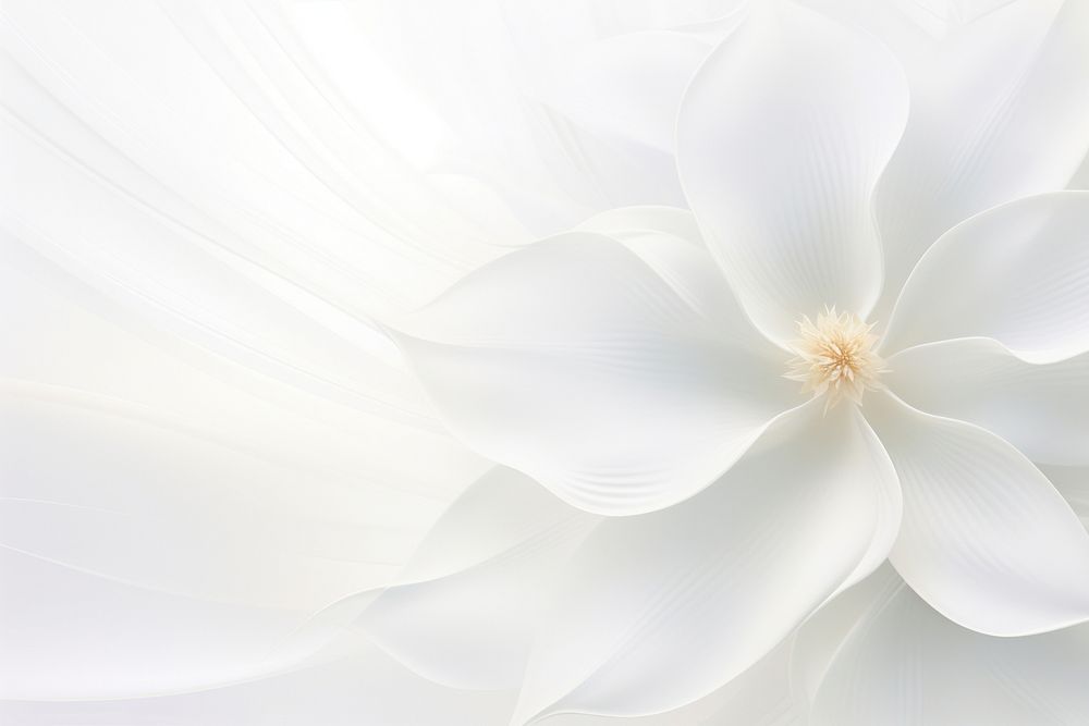 White flower background backgrounds abstract petal. AI generated Image by rawpixel.