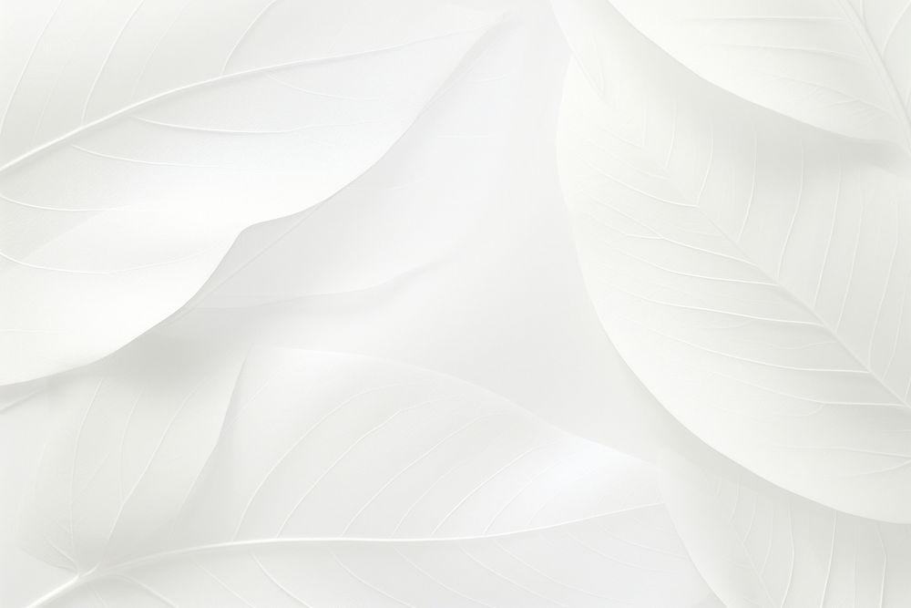 White leaf background backgrounds abstract lightweight. AI generated Image by rawpixel.