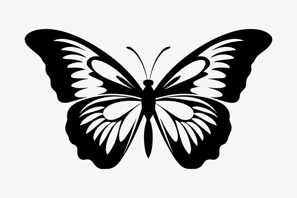 Butterfly animal white white background.