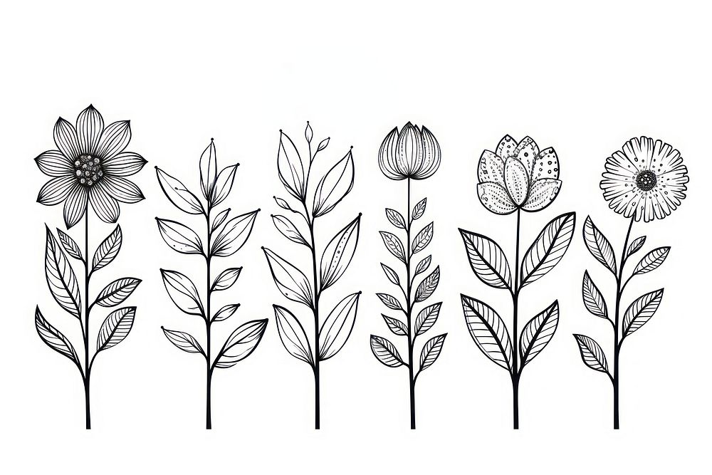 Flower drawing sketch pattern. AI generated Image by rawpixel.