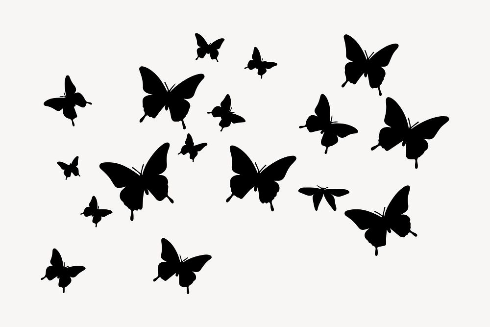Butterflies silhouette flying animal.